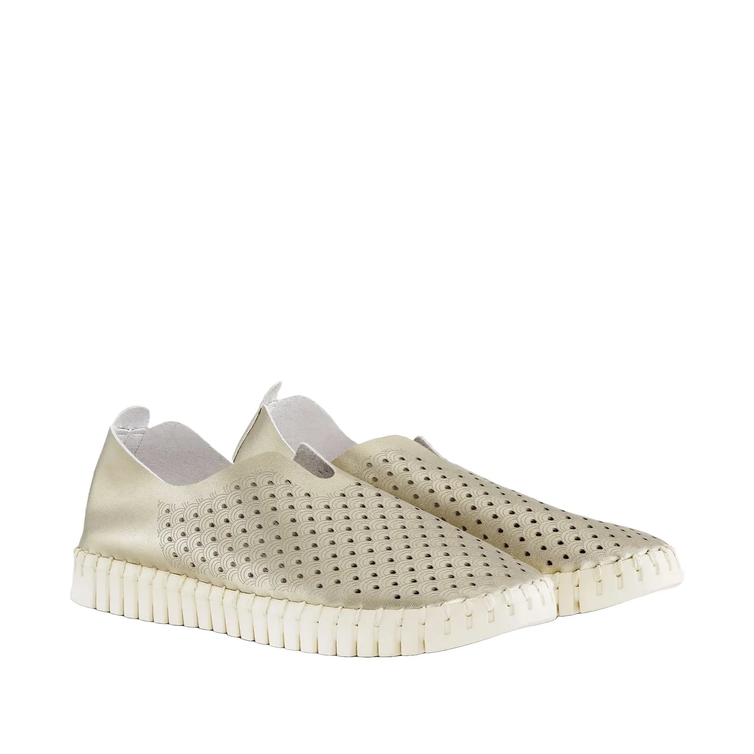 Ilse Jacobson Women's Tulip 139 in Platin