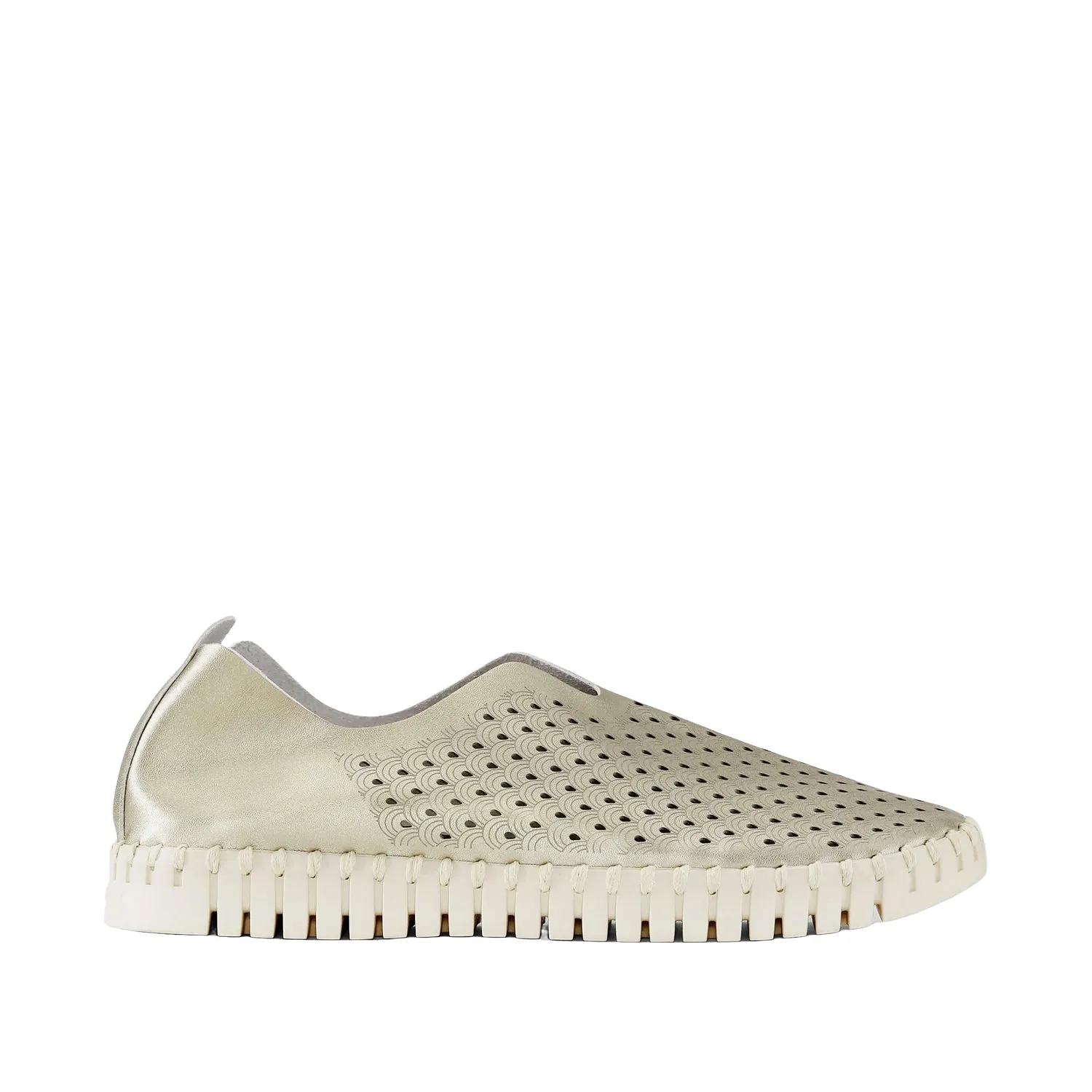 Ilse Jacobson Women's Tulip 139 in Platin