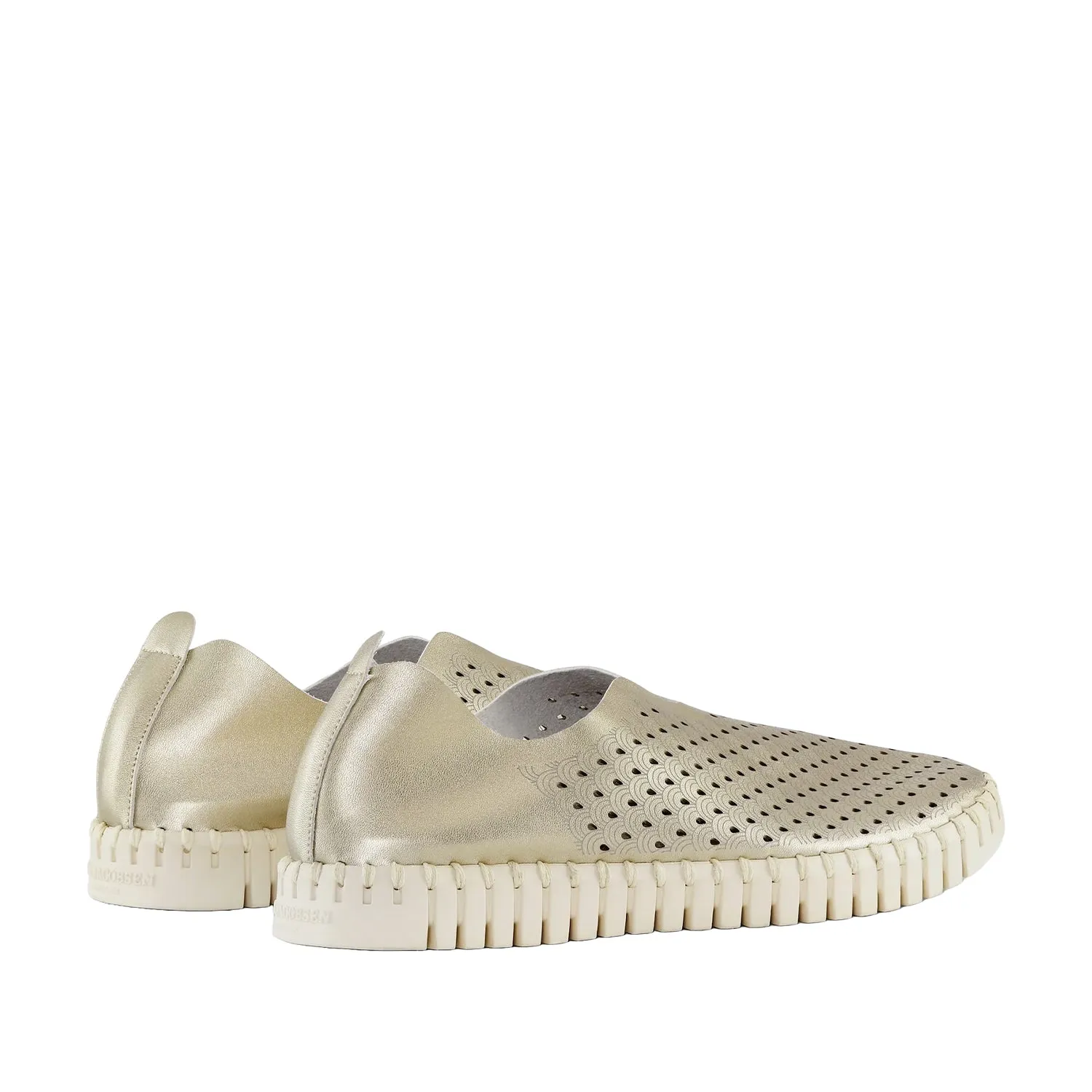 Ilse Jacobson Women's Tulip 139 in Platin