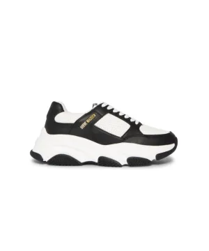 STEVE MADDEN PARK SNEAKER